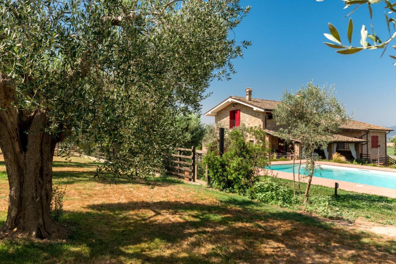 Il Barbagianni Montepescali Exterior foto